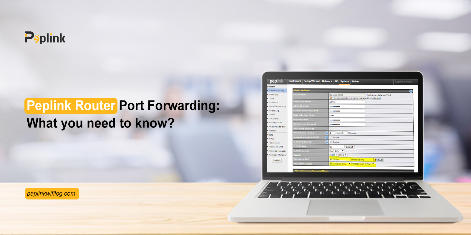 Peplink Router Port Forwarding